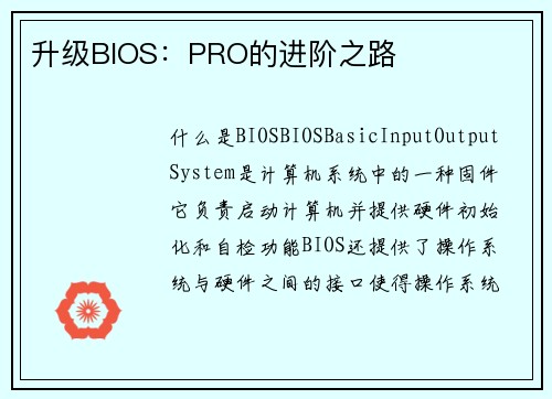 升级BIOS：PRO的进阶之路